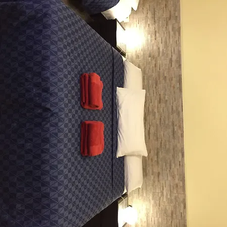 招待所 福瑞奥卡米洛住宿加早餐旅馆 罗马