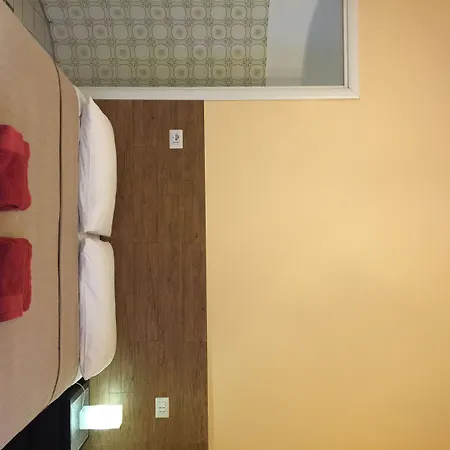 招待所 福瑞奥卡米洛住宿加早餐旅馆 罗马